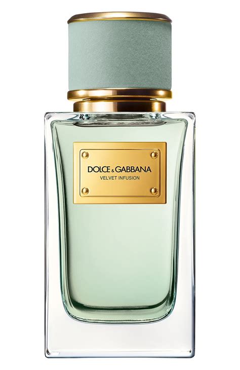 Velvet Infusion Dolce&amp;Gabbana perfume .